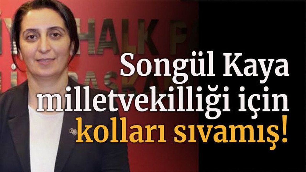 Songül Kaya milletvekilliği için kolları sıvamış!